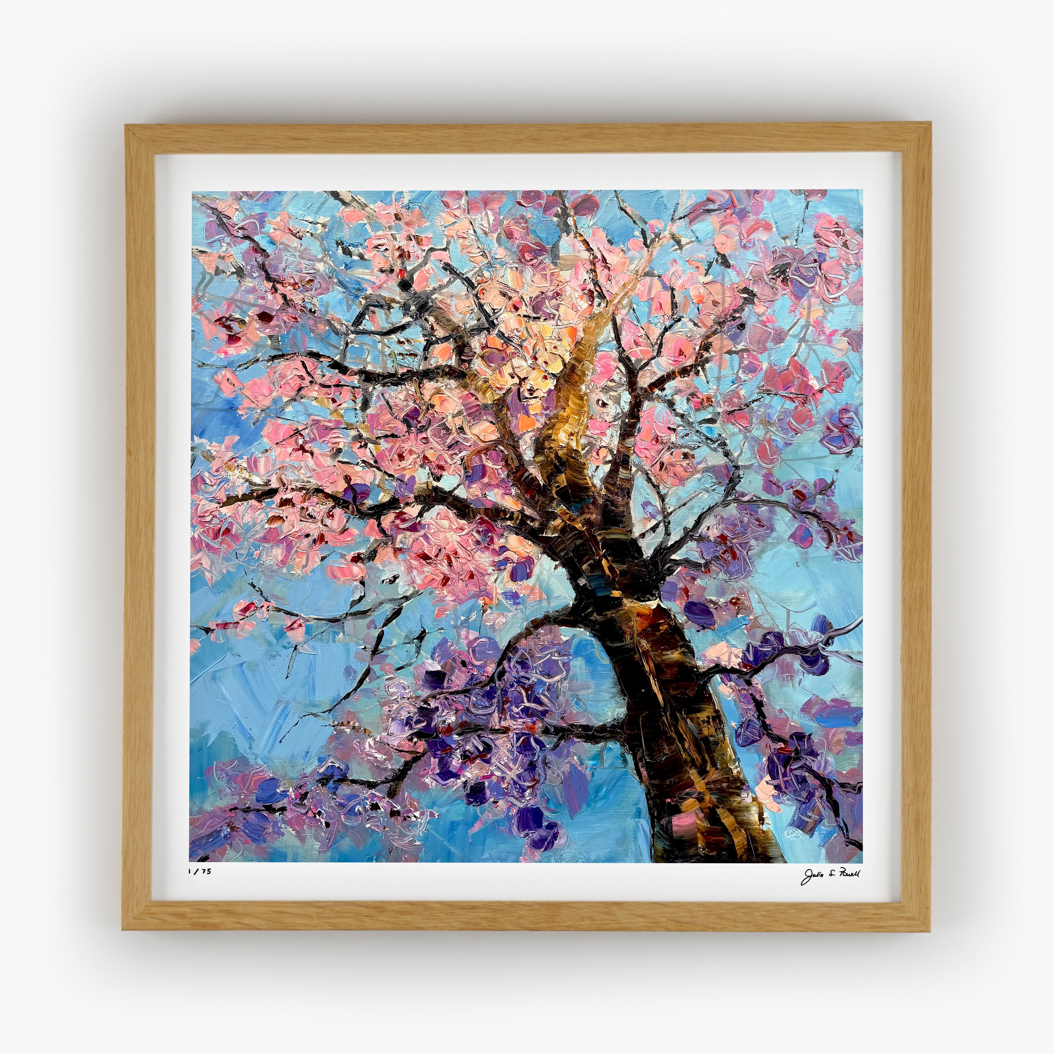 Looking Up - Cherry Blossoms – Julia S Powell Art Prints